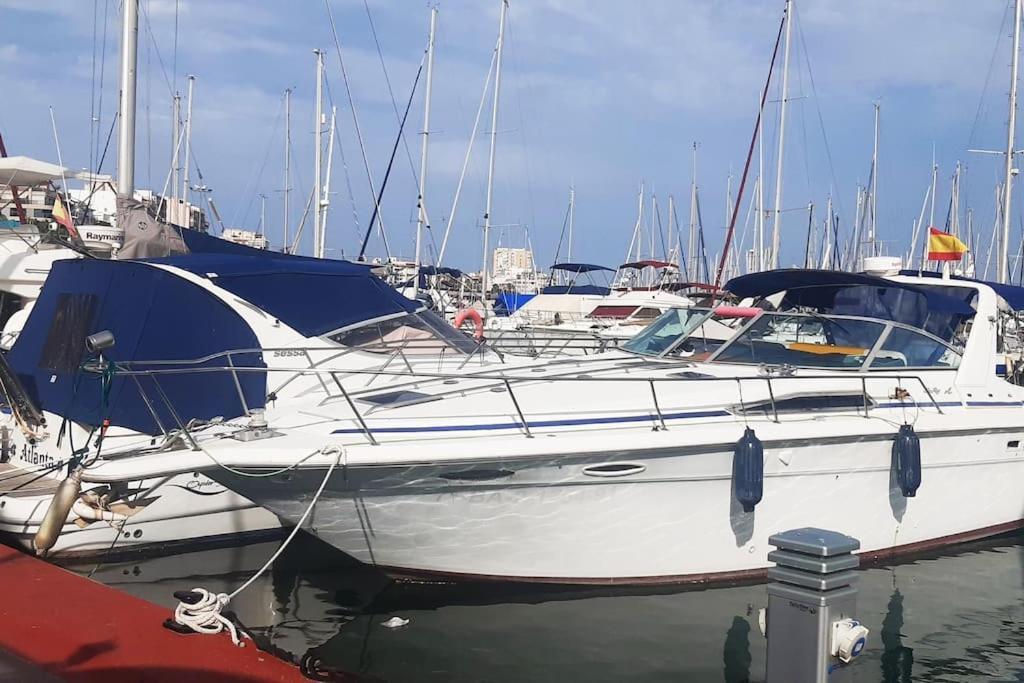 Adventure Harbour Leilighet Torrevieja Eksteriør bilde