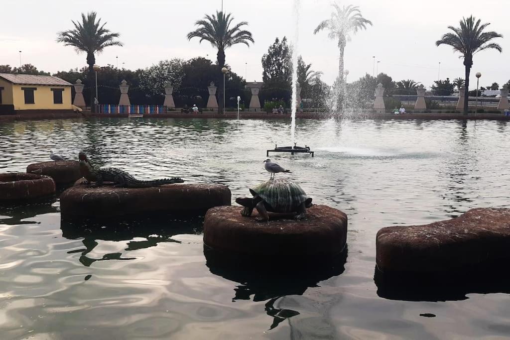 Adventure Harbour Leilighet Torrevieja Eksteriør bilde