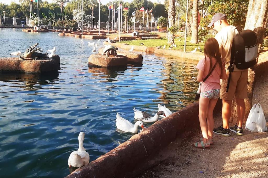 Adventure Harbour Leilighet Torrevieja Eksteriør bilde