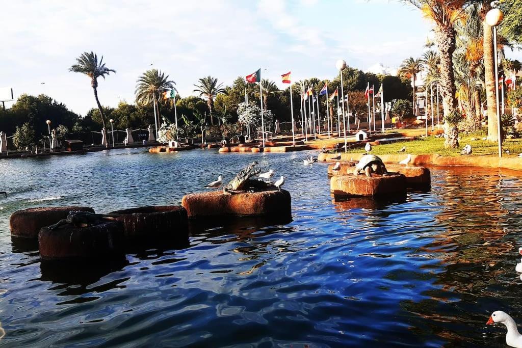 Adventure Harbour Leilighet Torrevieja Eksteriør bilde